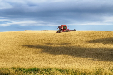 Россия требует ограничить экспорт зерна во всём ЕАЭС